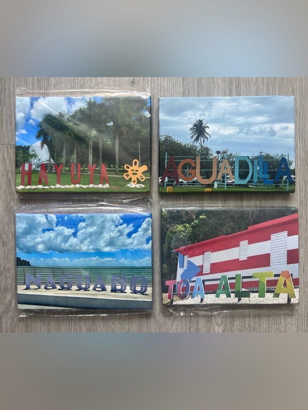 4 Puerto Rico Tropical Canvases